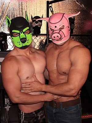 No Checkout 3 - Pup Friction